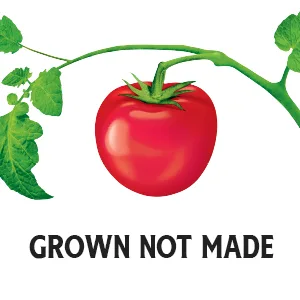 Heinz Tomato Ketchup with No Sugar Added (13 oz Bottle) No Added Sugar 13 oz - product information 3
