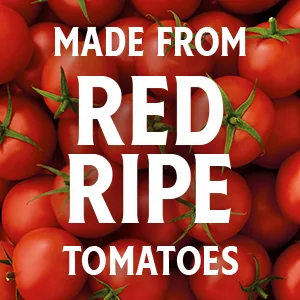 Heinz Tomato Ketchup with No Sugar Added (13 oz Bottle) No Added Sugar 13 oz - product information 4