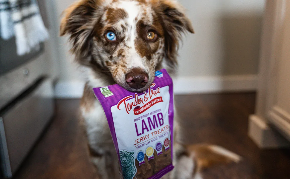 Tender & True Pet Nutrition Humanely Raised Lamb Jerky Dog Treats 4 Oz - Chicken Jerky