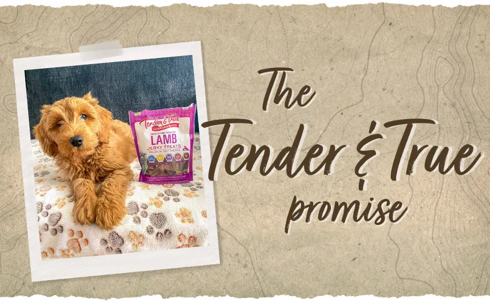 Tender & True Pet Nutrition Humanely Raised Lamb Jerky Dog Treats 4 Oz - TT Promise