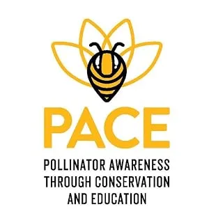 Local Hive, Raw Honey, Pure and Unfiltered, Local Midwest Beekeepers, 40oz - PACE Awareness Local Hive