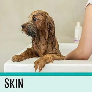 Dog Adult (1-7 Years) - product information 3