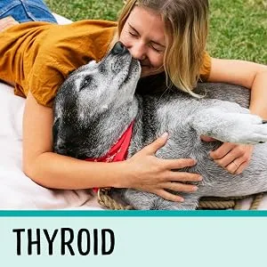 Dog Adult (1-7 Years) - product information 6