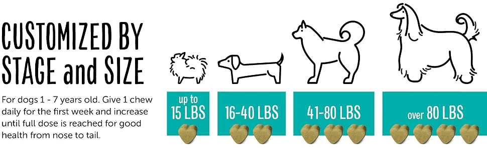 Dog Adult (1-7 Years) - product information 8
