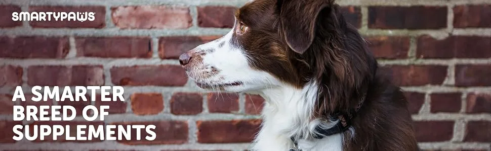 Dog Senior (7+ Years) - product information 1