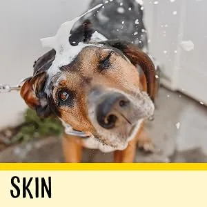 Dog Senior (7+ Years) - product information 3