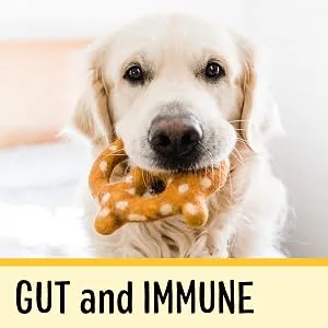 Dog Senior (7+ Years) - product information 4