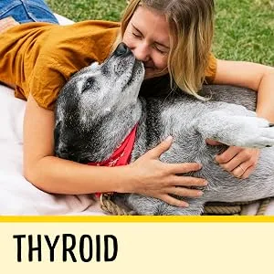 Dog Senior (7+ Years) - product information 6