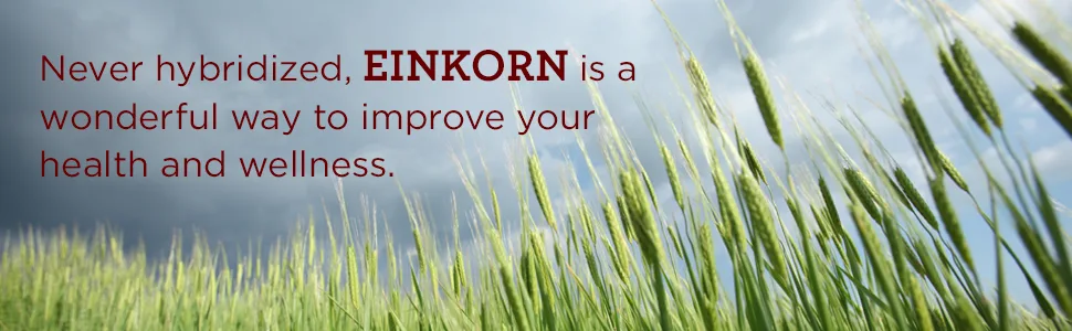 Jovial 100% Organic Einkorn All-Purpose Flour, 10 Pounds All-Purpose 10 Pound (Pack of 1) - product information 7