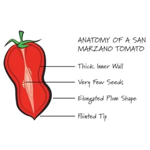 Cento San Marzano Peeled Tomatoes, 28 oz - marzano tomato
