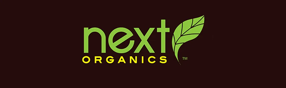 Next Organics Dried Mango, 6 oz Bag (Pack of 1) (20817582000908) Dried Mango 6 Ounce (Pack of 1) - next organics dried fruit chocolate covered nuts paleo friendly healthy snacks