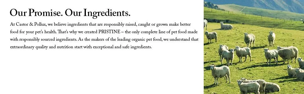Castor & Pollux Pristine Small Breed Grass-Fed Beef and Sweet Potato Recipe Dry Dog Food - 4.0 lb Bag - product information 4