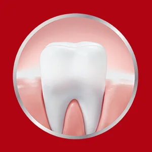 Parodontax Active Gum Repair Toothpaste, Gum Toothpaste, Fresh Mint - 3.4 Ounces (Pack of 3) - kills plaque bacteria at the gum line