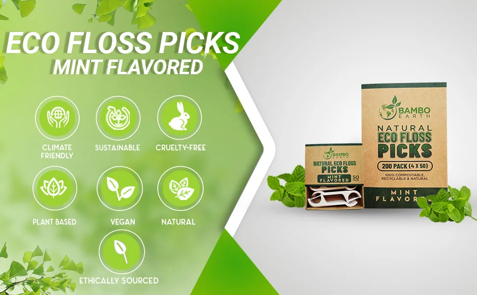 Natural Dental Floss Picks - Eco Friendly Cruelty Free & Vegan Tooth Flossers Pick Set with Biodegradable and Compostable BPA Free Handle & Zero Waste Packaging - 200 Pack (Mint Flavored) - floss picks