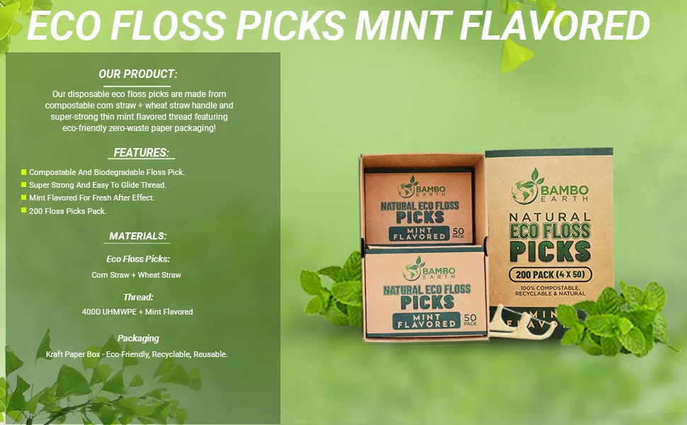Natural Dental Floss Picks - Eco Friendly Cruelty Free & Vegan Tooth Flossers Pick Set with Biodegradable and Compostable BPA Free Handle & Zero Waste Packaging - 200 Pack (Mint Flavored) - natural floss picks