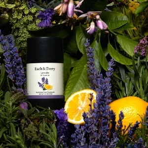 Each & Every 2-Pack Natural Aluminum-Free Deodorant for Sensitive Skin with Essential Oils, Plant-Based Packaging (Rose & Vanilla, 2.5 Ounce (Pack of 2)) - Each & Every Lavender & Lemon