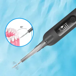 Electric Plaque Remover for Teeth, Tooth Cleaner Dental Calculus Remover Teeth Cleaning Kit with 5 Adjustable Modes,2 Replaceable Clean Heads and 1 Mouth Mirror Gray - tartar remover for teeth