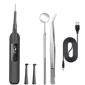 Electric Plaque Remover for Teeth, Tooth Cleaner Dental Calculus Remover Teeth Cleaning Kit with 5 Adjustable Modes,2 Replaceable Clean Heads and 1 Mouth Mirror Gray - tartar remover for teeth