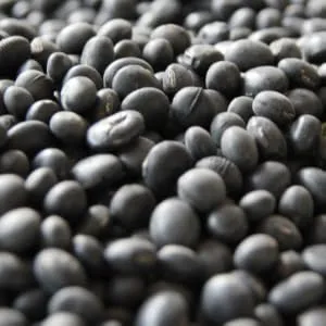 Beauty of Joseon Serum (Glow Deep Serum) - Black soybean extract