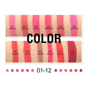 12Pcs Travel Suit Waterproof Long Lasting Matte Lip Gloss Sample Size Liquid Lipstick Black - lamuseland
