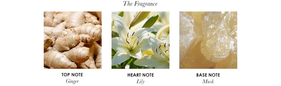Molton Brown Heavenly Gingerlily Fine Liquid Hand Wash - product information 2