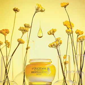 L'Occitane Anti-Aging Immortelle Divine Face Cream Moisturizer for a Youthful and Radiant Glow, 1.7 oz. - divine range
