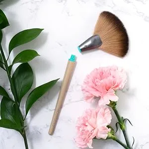 EcoTools Daily Essentials Face Kit Interchangeables Makeup Brush Set with 5 Brushes, 2 Handles, and Storage Tin Interchangebles Daily Essentials Makeup Brush Set, 5 Pieces - Ecotools Interchangeables Makeup Brush Set