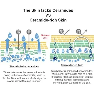 Holika Holika Good Cera Super Ceramide Mist 120ml 4.05 fl.oz. - Comparision