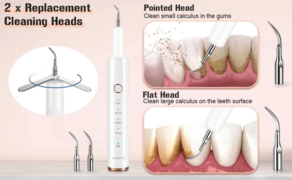 Plaque Remover for Teeth, Electric Tooth Cleaner Tartar Remover for Teeth with LED Light,4 Modes Rechargeable Teeth Cleaning Kit with Dental Tools, 2 Replaceable Heads - 2 replacement cleaning heads