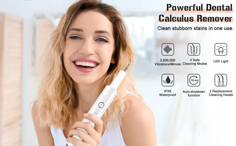 Plaque Remover for Teeth, Electric Tooth Cleaner Tartar Remover for Teeth with LED Light,4 Modes Rechargeable Teeth Cleaning Kit with Dental Tools, 2 Replaceable Heads - Plaque Remover for Teeth