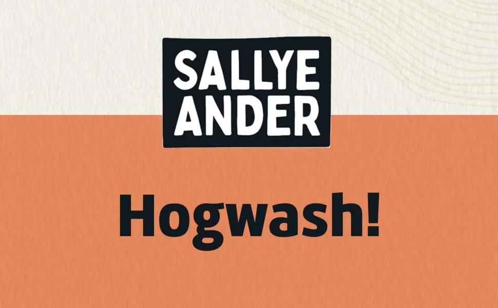 Sallye Ander Hogwash! Soap - 1 Bar - Laundry Treatment Scrub - All-Natural Handmade Soap - Cornmeal Hand Wash - sallye ander