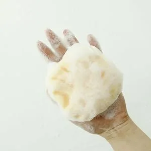 myHomeBody Dual-Texture Sponge (Facial Sponge, 2.00) - BPPC024-011