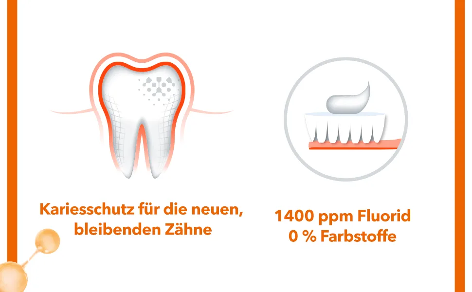 Elmex toothpaste junior 6-12 years 2x75ml-medical tooth cleaning with 1400 ppm fluoride content for highly effective caries protection-strengthens the new permanent teeth with taste-neutral 75 ml (2 pack) - elmex, elmex Junior, elmex zahnpasta, zahncreme, zahnpasta