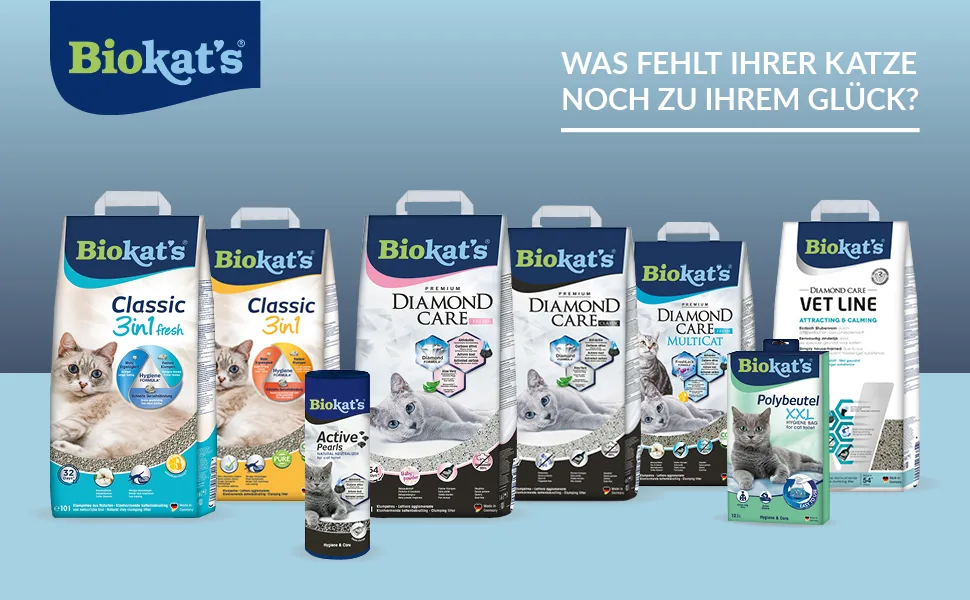 Biokat's Active Pearls - Spread additive with activated carbon improves odor binding and absorbency of the cat litter - 1 can (1 x 700 ml) 700 ml (1 Pack) - Topseller Biokats