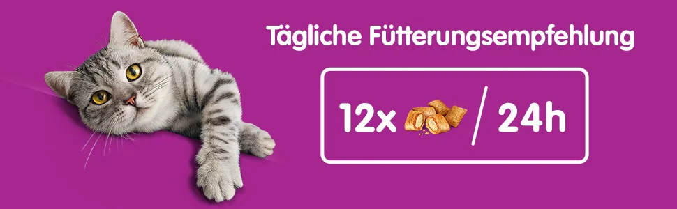 Whiskas crispy bags cat snacks with turkey 8x60g (8 packs) - different product packaging available turkey 480 g (1 Pack) - whiskas