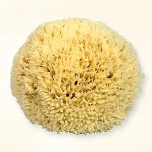 CROLL & DENECKE M110 natural sponge sea sponge hand-finished from the sea 11 cm natural 1 piece - Premium Schwamm