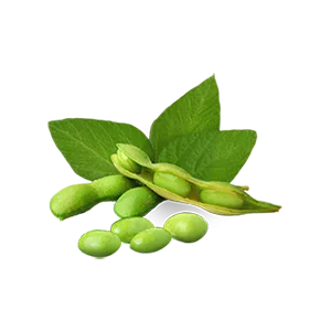 Organic Thyme Fresh Sparkle Revitalizing Conditioner for fine and thinning hair - product information 4