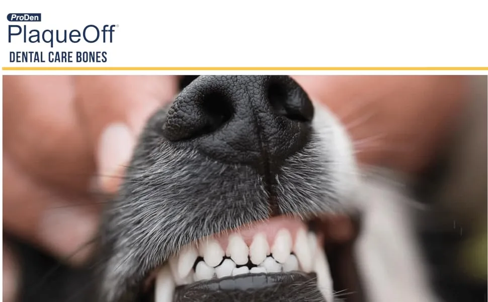 PROSE PLAqueoff mini dental bones for small dogs and dwarf dogs vegetable mix (20 pack-340 g) Mini vegetable fusion 17 g (20 pack) - ProDen PlaqueOff Dental Bones
