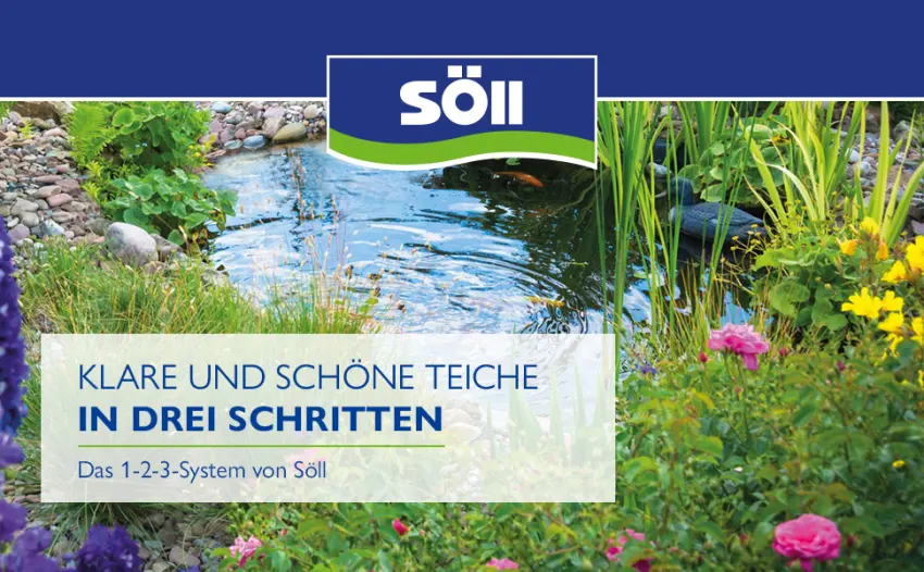 S ll 18765 summer algae stop 500 ml pond care products against strong algae growth in summer - extra -fast pond care Algae control Ideal for floating algae pond algae blue algae (pack of 2) 100 g for 15 000 liters (pack with 2) single - 1-2-3