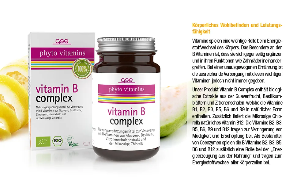 GSE Vitamin B complex 60 tablets 100% vegan and without additives high dosage organic quality 60 pieces (1 pack) - vitamin b