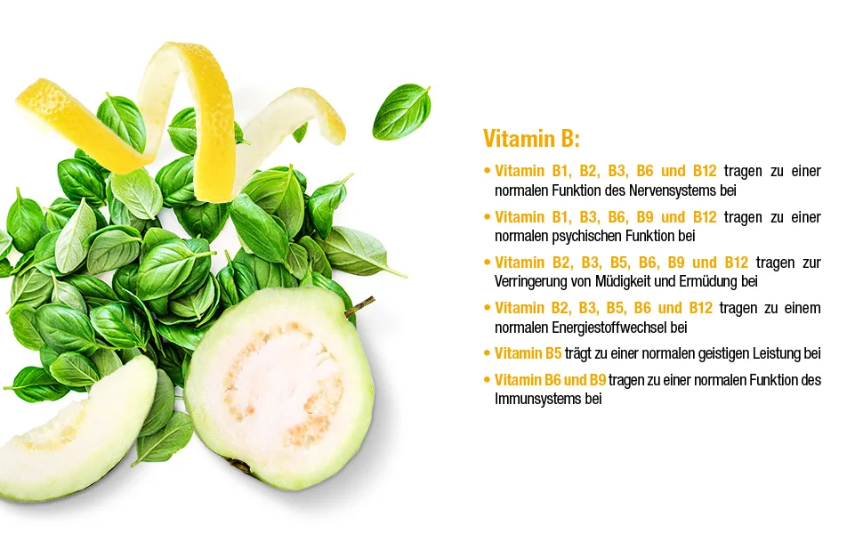 GSE Vitamin B complex 60 tablets 100% vegan and without additives high dosage organic quality 60 pieces (1 pack) - vitamin b