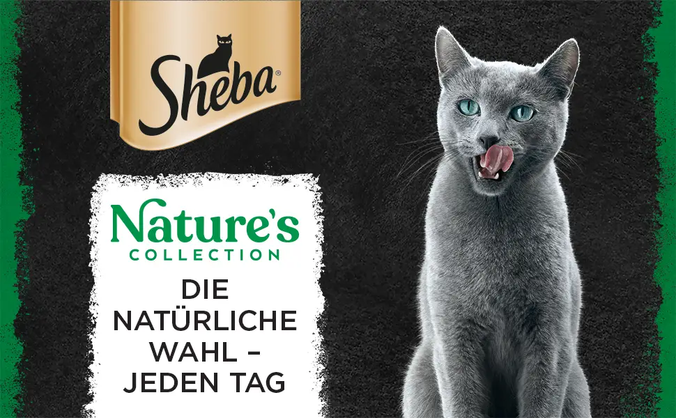 SHEBA Bowl Nature's Collection in Sauce with Salmon 2 x 11 x 85g Salmon 1.87 kg (1 pack) - Sheba
