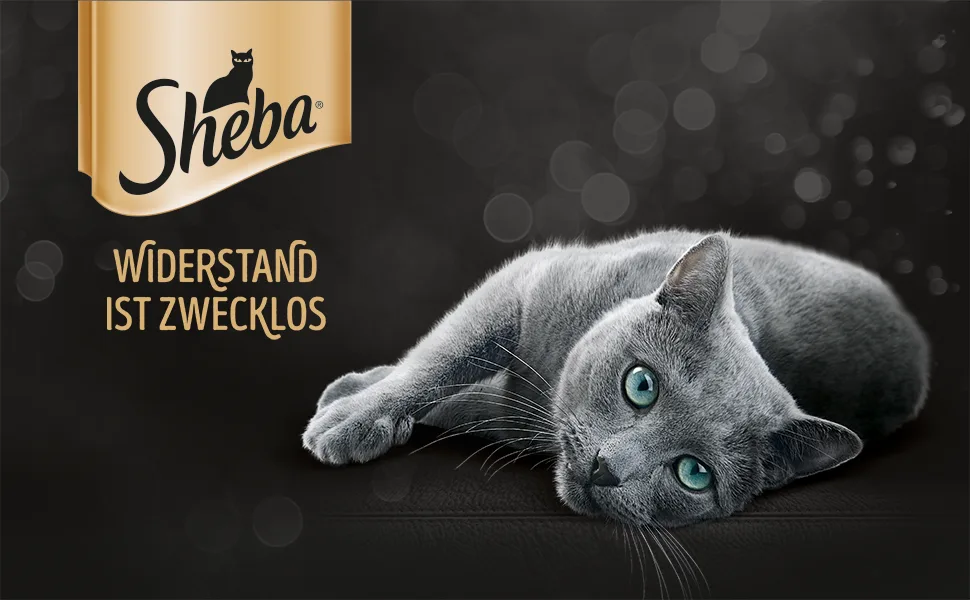 Sheba Classics in Piedetete- Finest Cat Nass Foot in the Ski Fish variation (MSC) with salmon white fish tuna and cod - 32 x 85g 2.72 kg (1 Pack) - Sheba