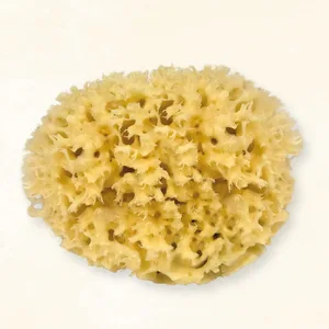 Croll & Denecke natural sponge natural approx. 21 cm - Medium Schwamm