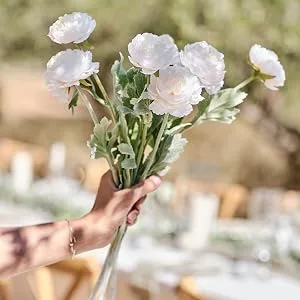 Ginger Ray Wedding Flowers Cockscomb Stems Pack of 3 White 45cm Ranunculus Stem - SW-867