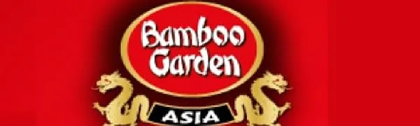 Bamboo Garden Miso Paste dark pack of 4 (4 x 145 g) - product information 1