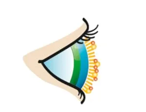 Optrex ActiSpray 2in1 eye spray - for dry and irritated eyes - Liposomal eye spray for immediate relief - 1x 10ml transparent - product information 6