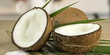 ONE NATURE organic ORGANIC coconut milk pack of 6 (6 x 400 g) 400 g (pack of 6) - Kokosmilch