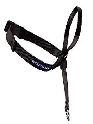PetSafe Gentle Guide Collar with Training DVD Beige Medium (Pack of 1) - Halfter Geschirr Stop Pulling Walk Hund Maulkorb