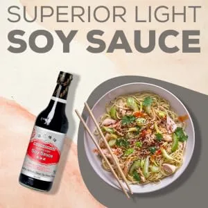 Pearl River Bridge - Fermented Black Soybeans - 1 X 250 GR 250 g (1 pack) - Light Soy Sauce